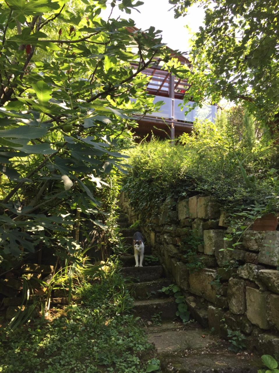 Pergola House In A Green Oasis With Fantastic View Apartman Pétervárad Kültér fotó