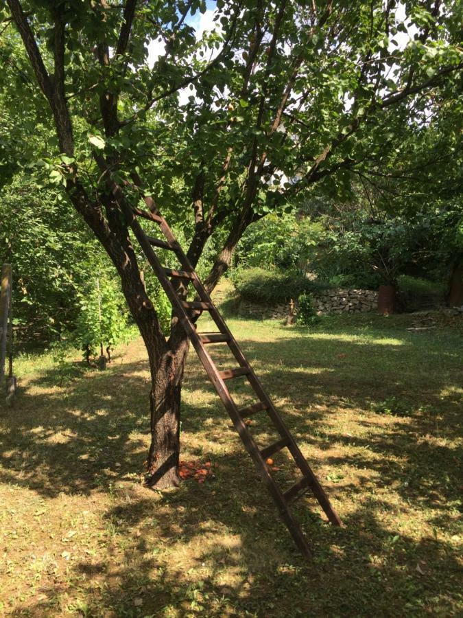 Pergola House In A Green Oasis With Fantastic View Apartman Pétervárad Kültér fotó