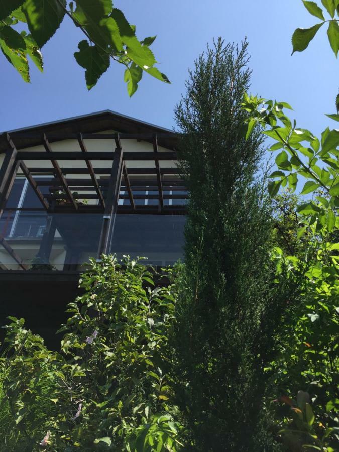 Pergola House In A Green Oasis With Fantastic View Apartman Pétervárad Kültér fotó